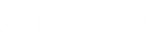 Rhomma Consultoria